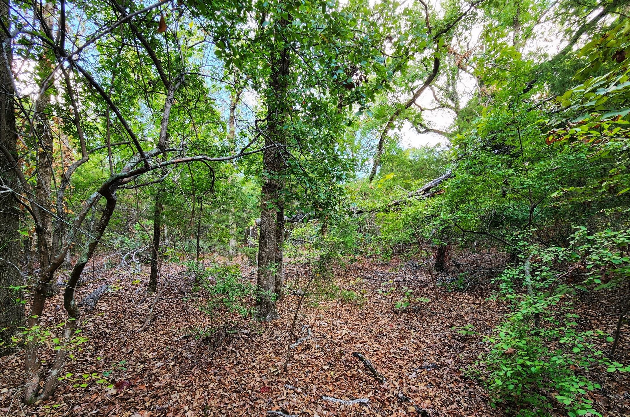 Lot 465 Cr-4710 Larue TX 75770