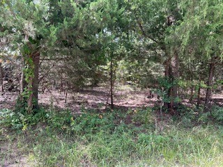 Tbd Bass Lane Quinlan TX 75169