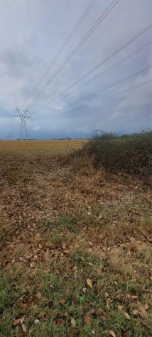 Tract 9-10 County Road 3216 Lone Oak TX 75453