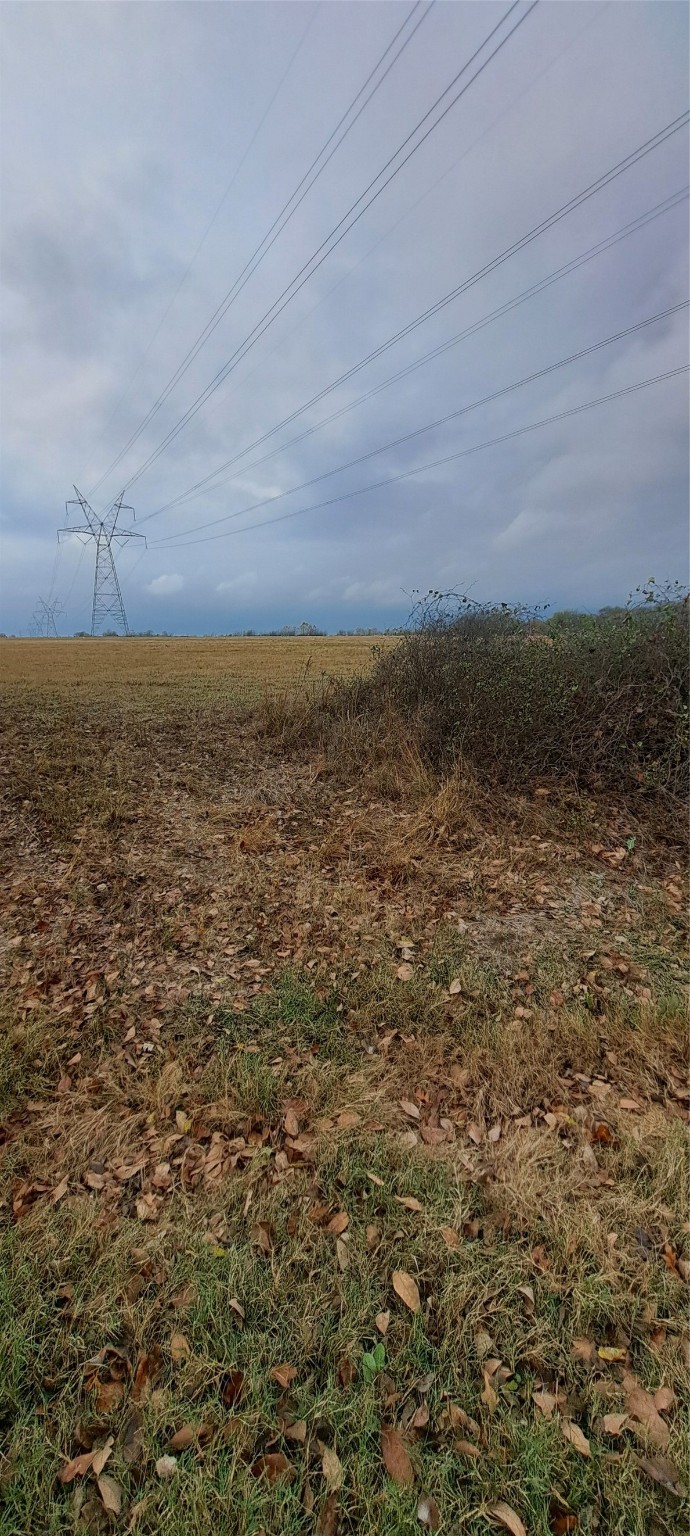 Tract 9-10 County Road 3216 Lone Oak TX 75453