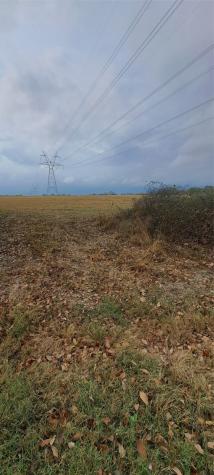 Tract 9-10 County Road 3216 Lone Oak TX 75453