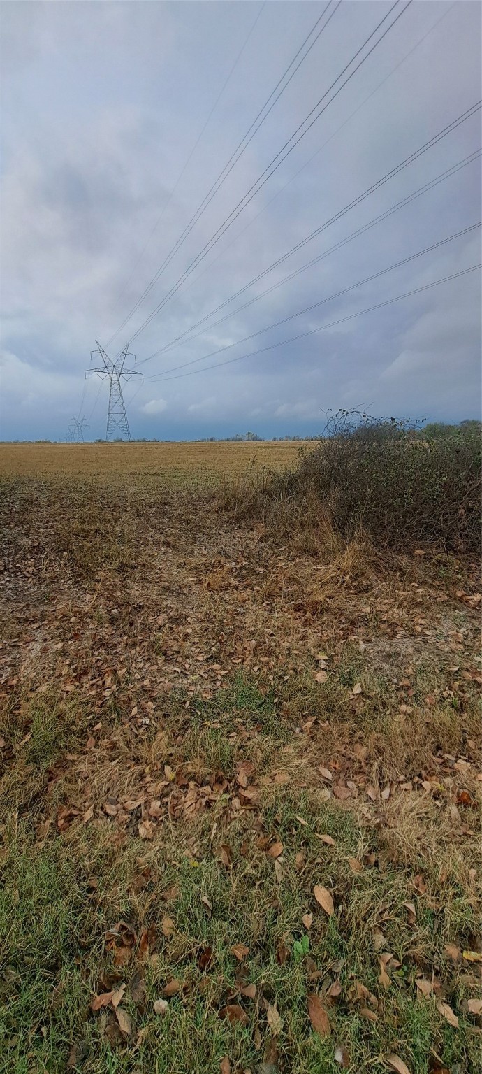 Tract 9-10 County Road 3216 Lone Oak TX 75453