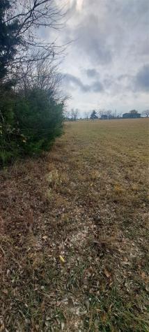 Tract 9-10 County Road 3216 Lone Oak TX 75453