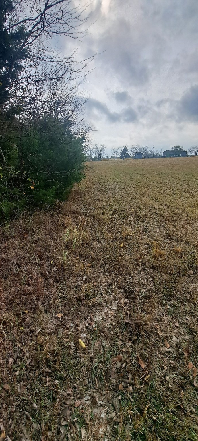 Tract 9-10 County Road 3216 Lone Oak TX 75453