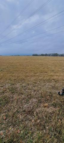Tract 9-10 County Road 3216 Lone Oak TX 75453