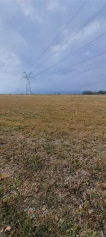 Tract 9-10 County Road 3216 Lone Oak TX 75453