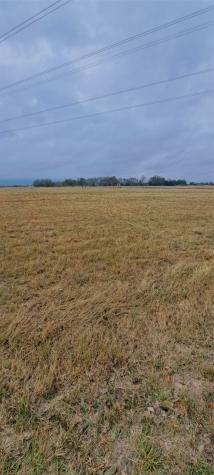 Tract 9-10 County Road 3216 Lone Oak TX 75453