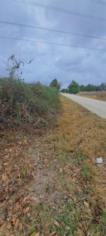 Tract 9-10 County Road 3216 Lone Oak TX 75453