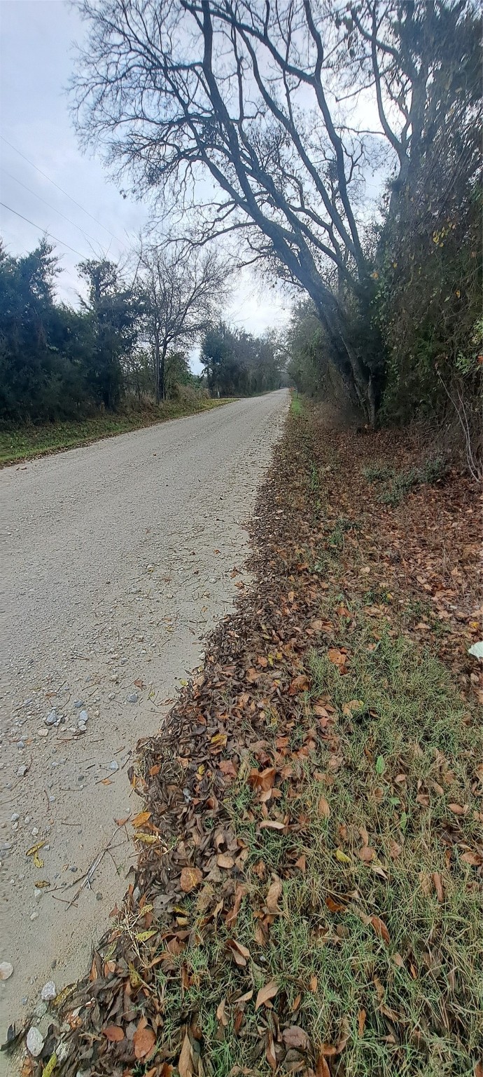 Tract 9-10 County Road 3216 Lone Oak TX 75453