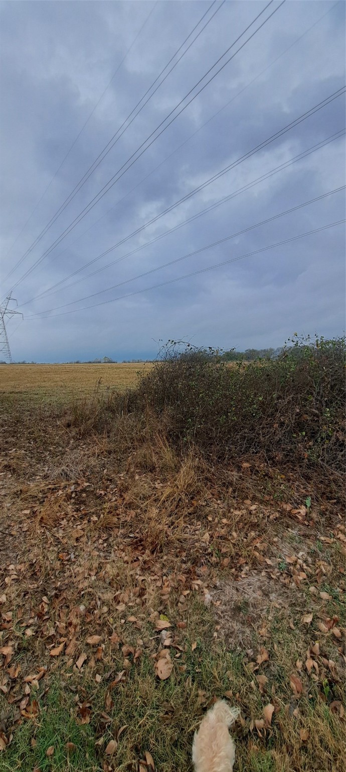 Tract 9-10 County Road 3216 Lone Oak TX 75453