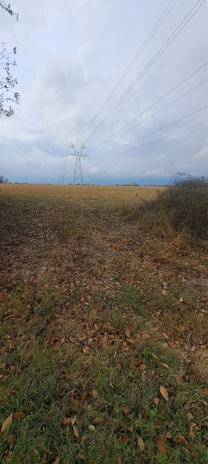 Tract 9-10 County Road 3216 Lone Oak TX 75453