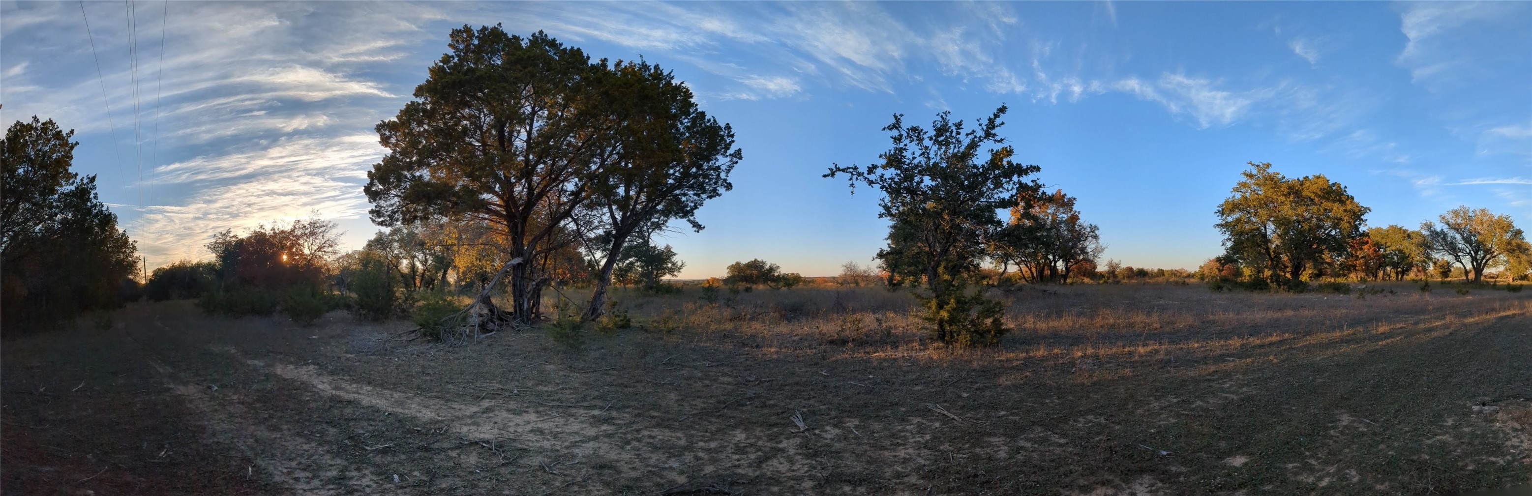 1314 Cr 127 Carlton TX 76456