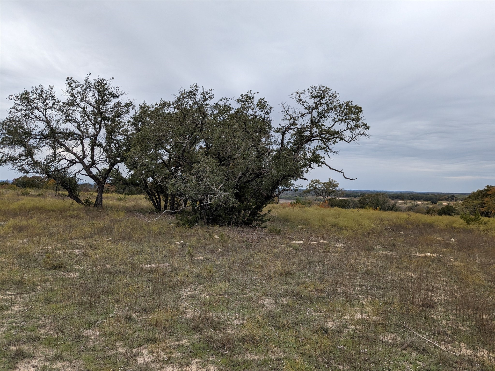 1314 Cr 127 Carlton TX 76456