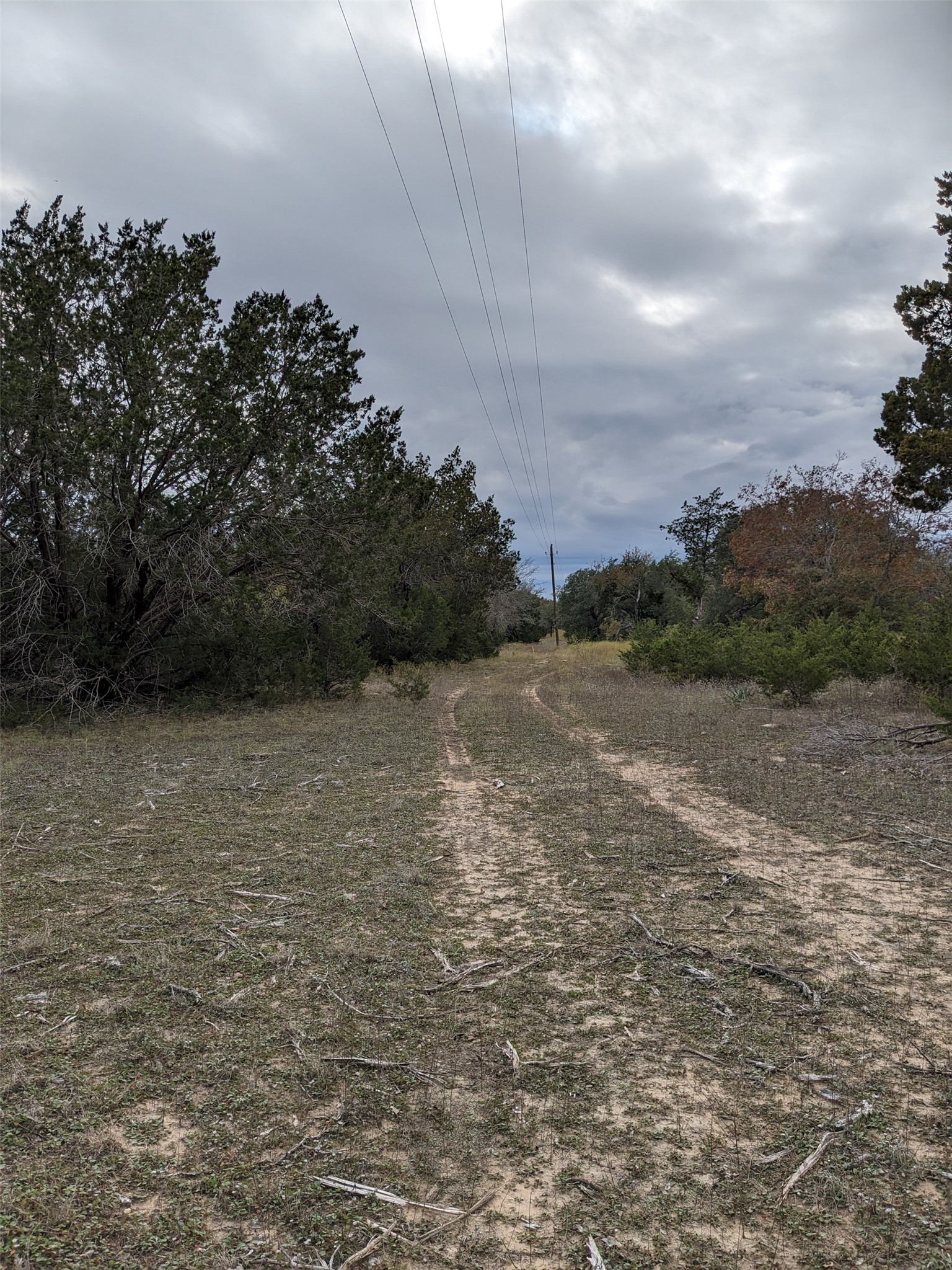 1314 Cr 127 Carlton TX 76456