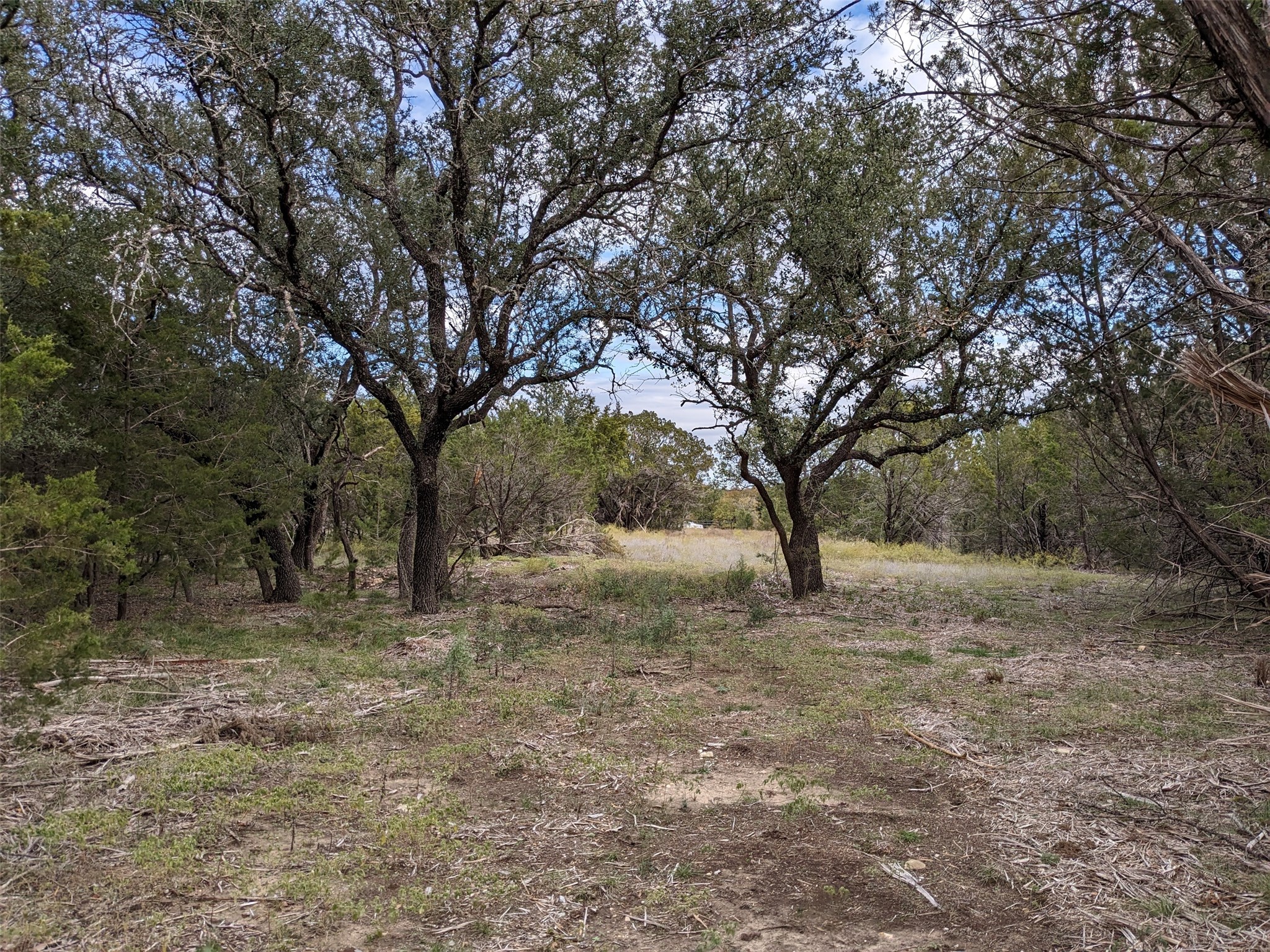1314 Cr 127 Carlton TX 76456