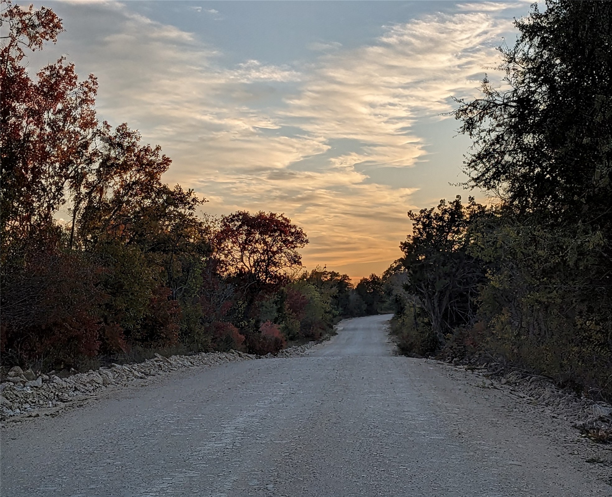 1314 Cr 127 Carlton TX 76456