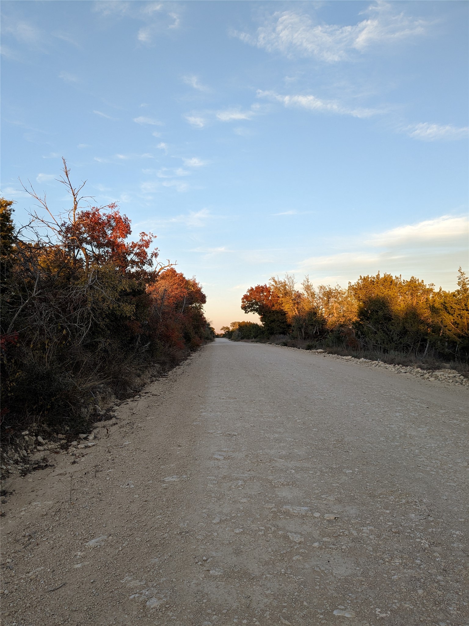 1314 Cr 127 Carlton TX 76456