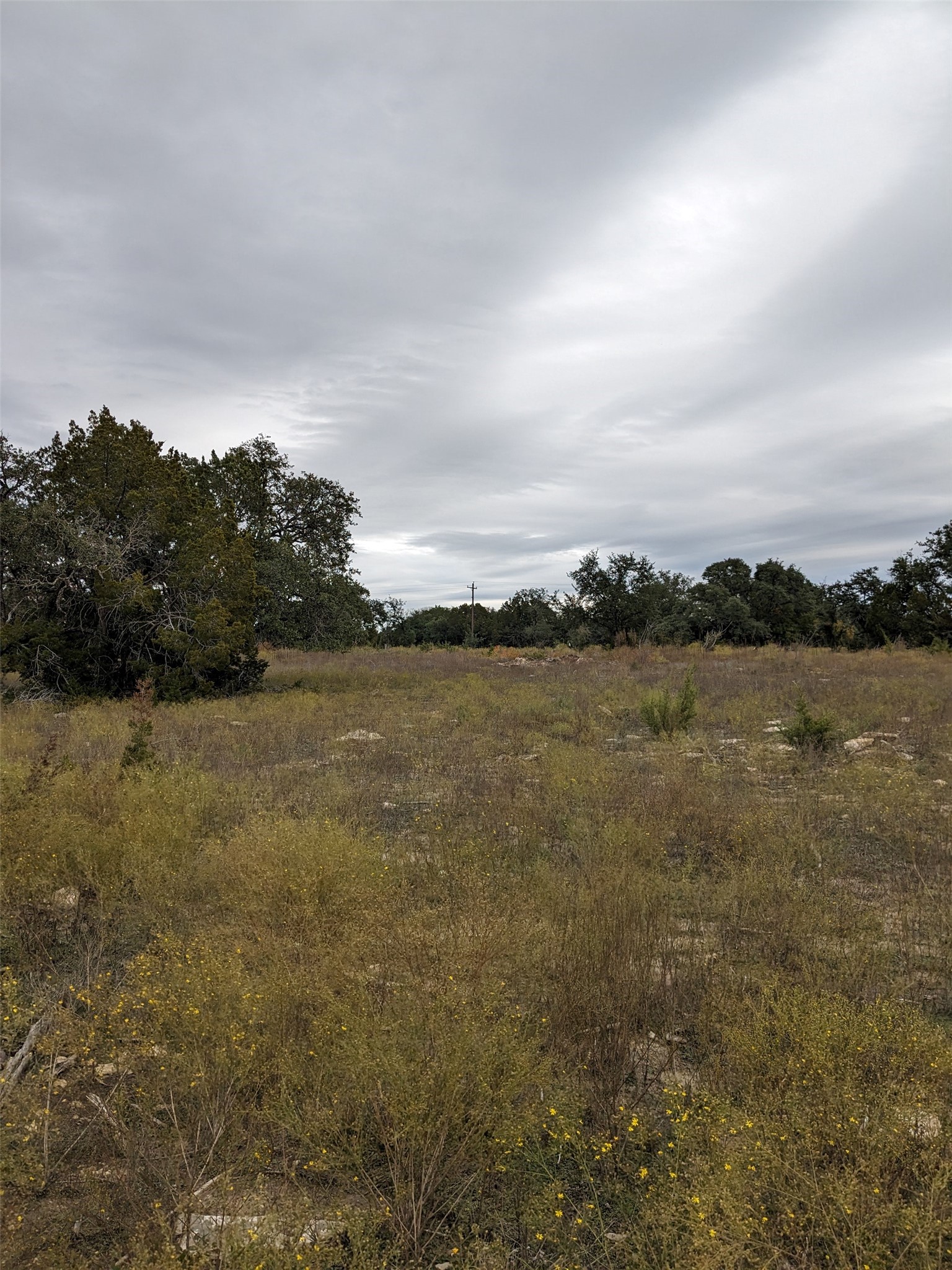 1314 Cr 127 Carlton TX 76456