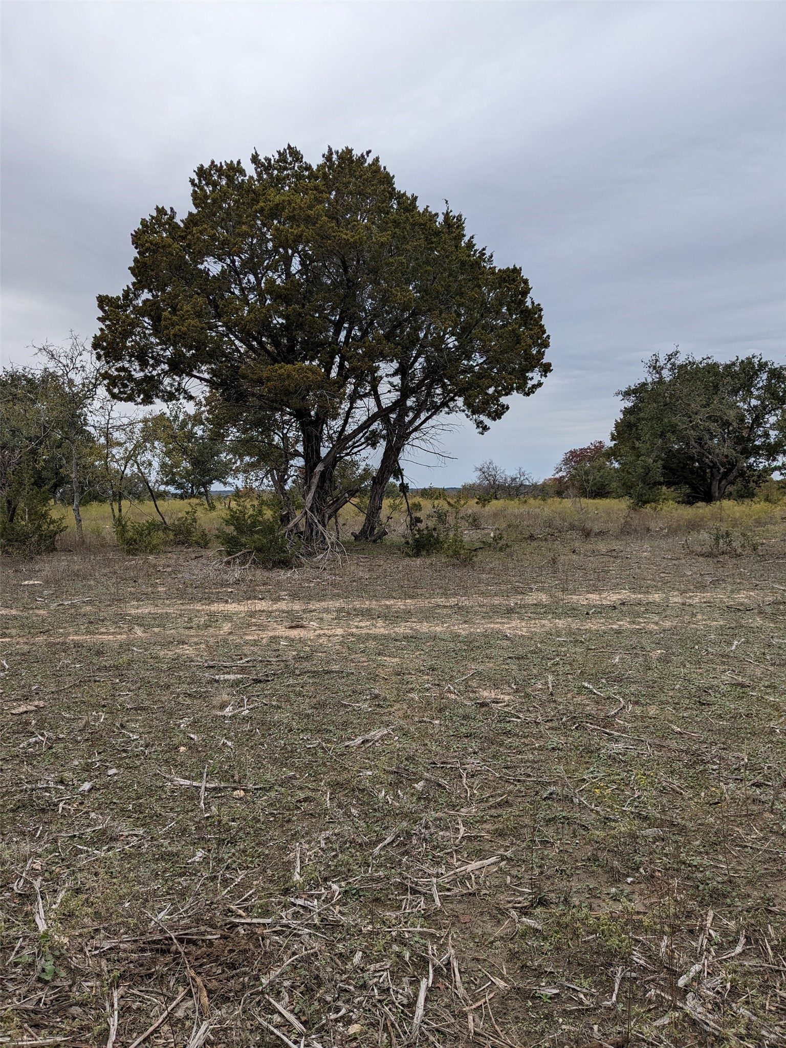 1314 Cr 127 Carlton TX 76456