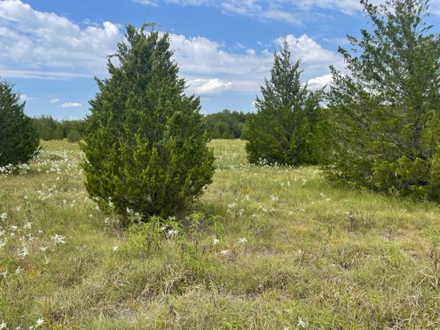 Tract 20 Cr 4813 Commerce TX 75428