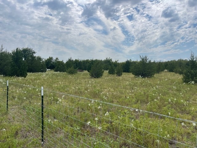 Tract 20 Cr 4813 Commerce TX 75428