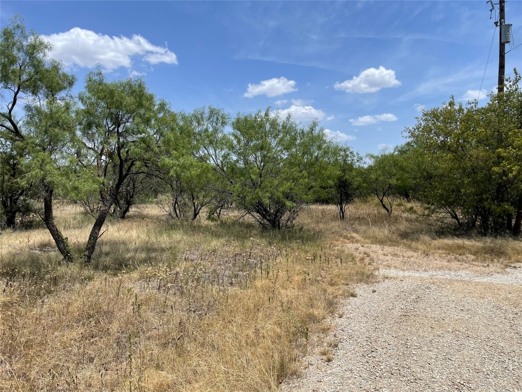 Tbd Cr 316 Road Breckenridge TX 76424