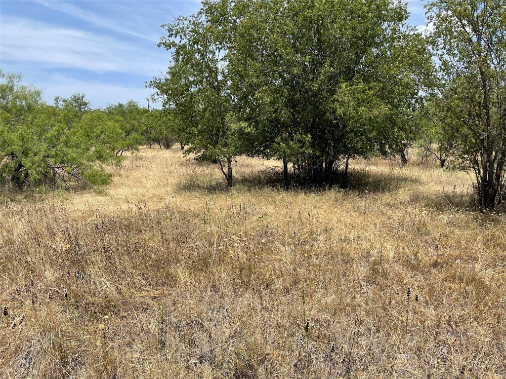 Tbd Cr 316 Road Breckenridge TX 76424