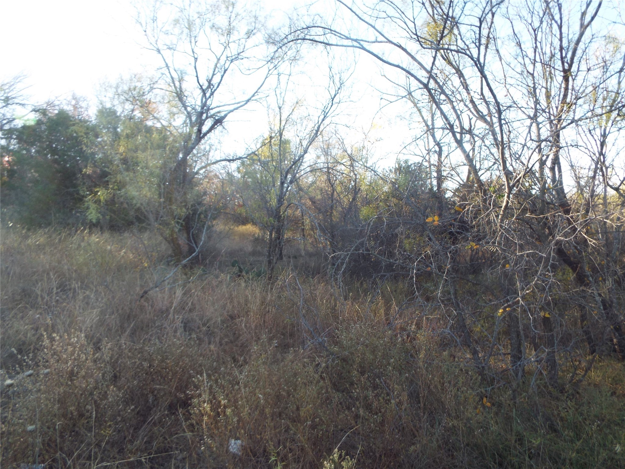 Tbd Clifden Drive Brownwood TX 76801