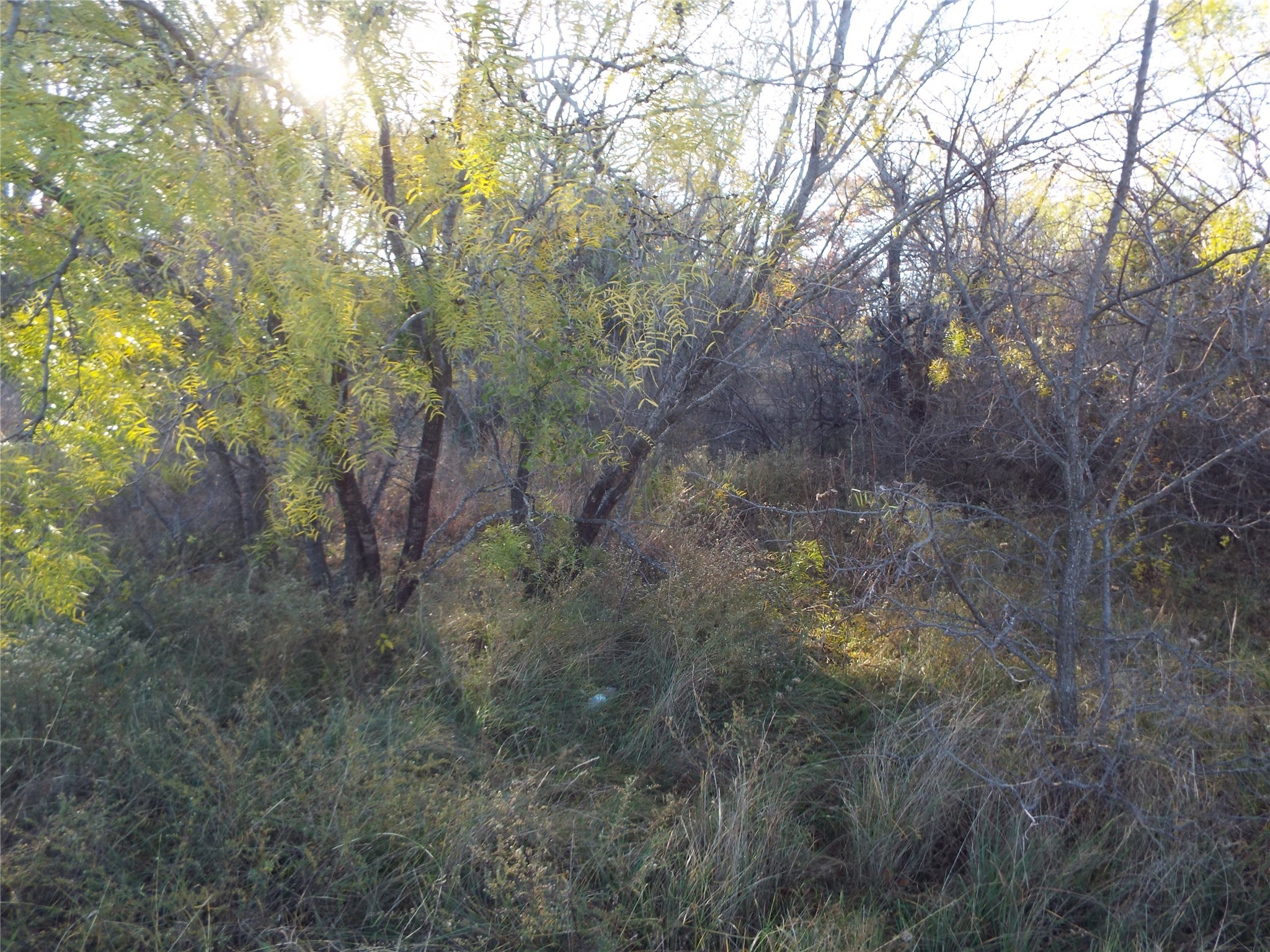 Tbd Clifden Drive Brownwood TX 76801