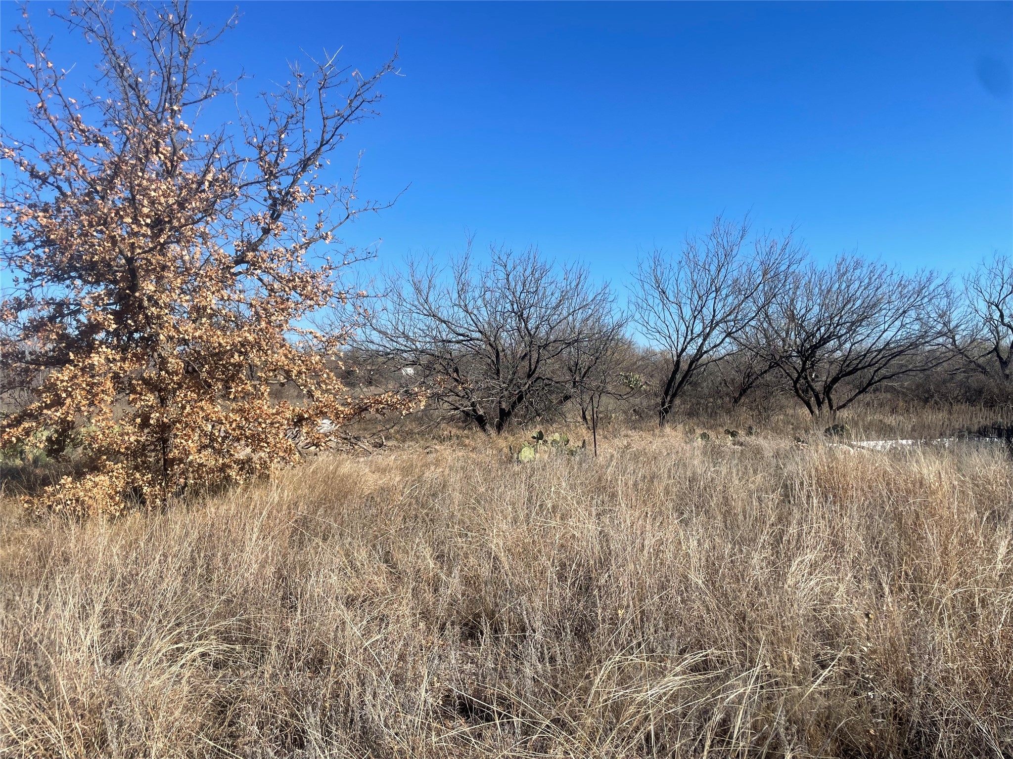 517 County Road 221 Breckenridge TX 76424