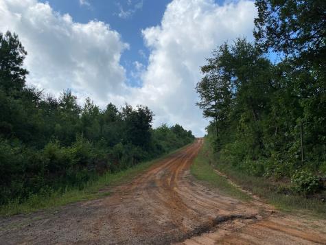 TBD County Road 394 Tatum TX 75691