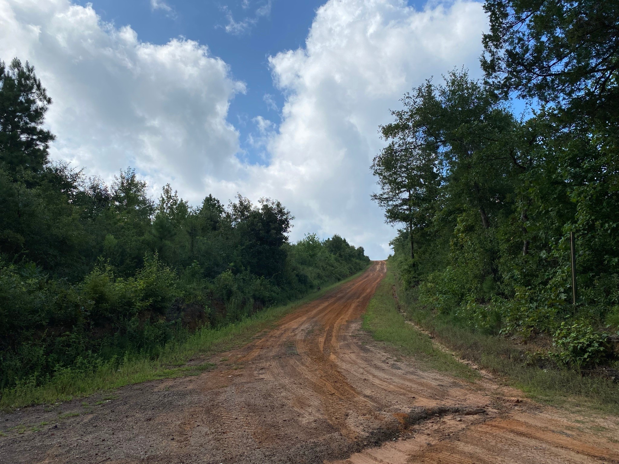 Tbd County Road 394 Tatum TX 75691