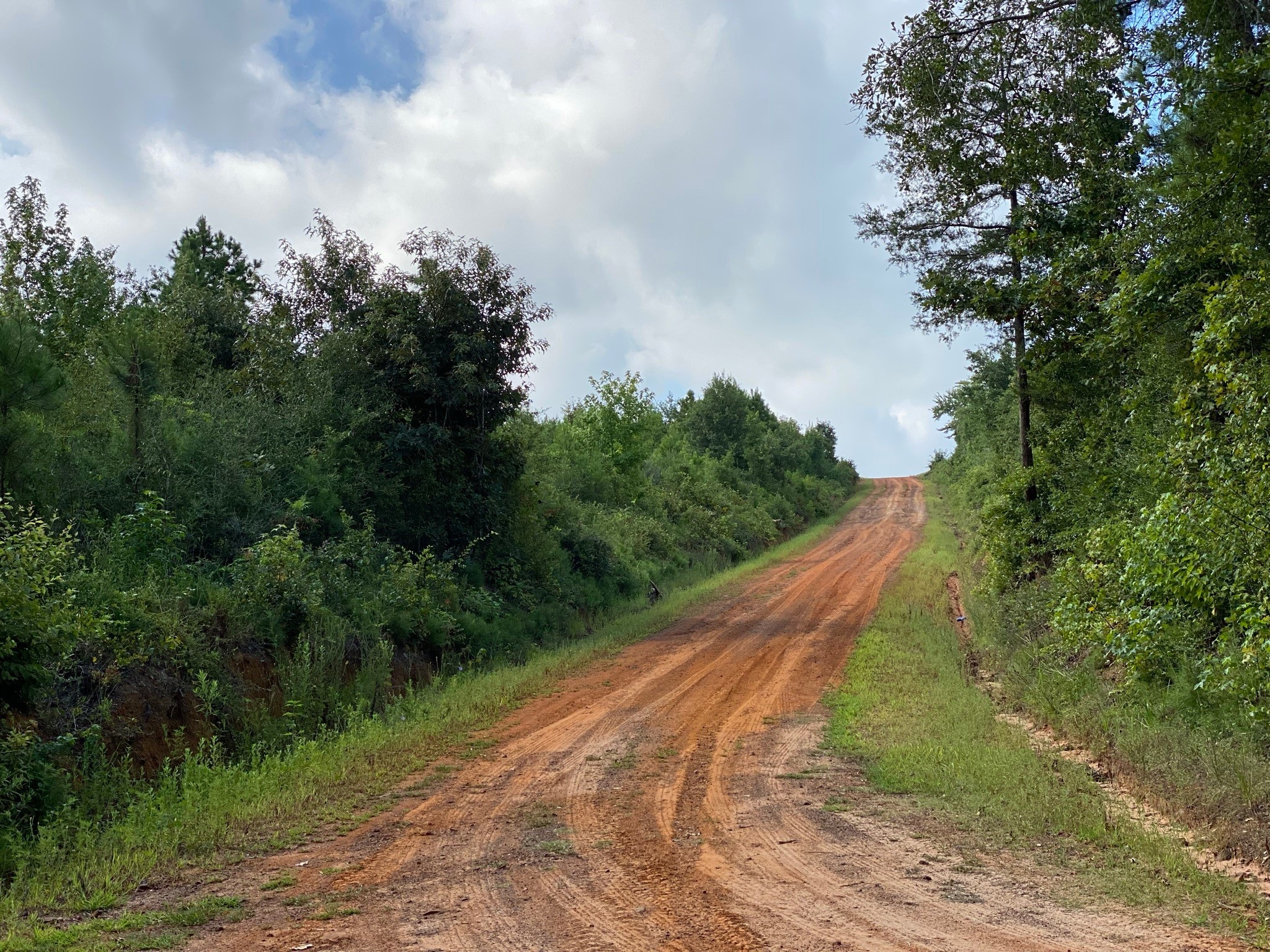 Tbd County Road 394 Tatum TX 75691