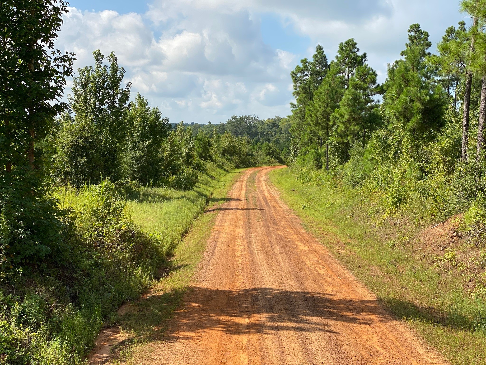 Tbd County Road 394 Tatum TX 75691