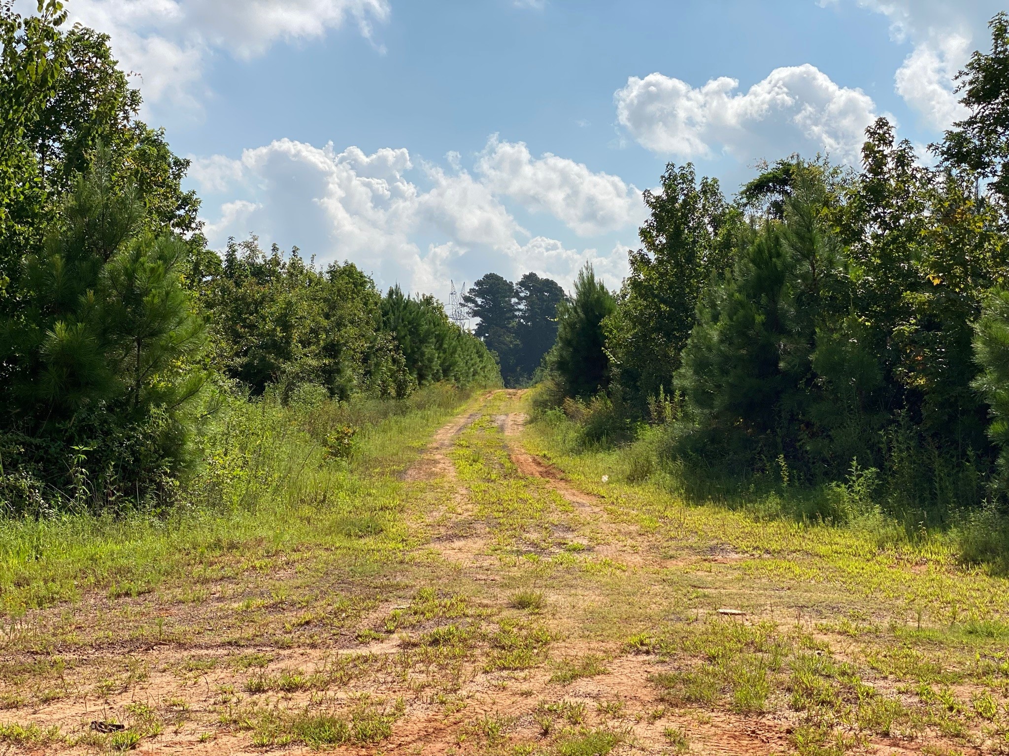 Tbd County Road 394 Tatum TX 75691