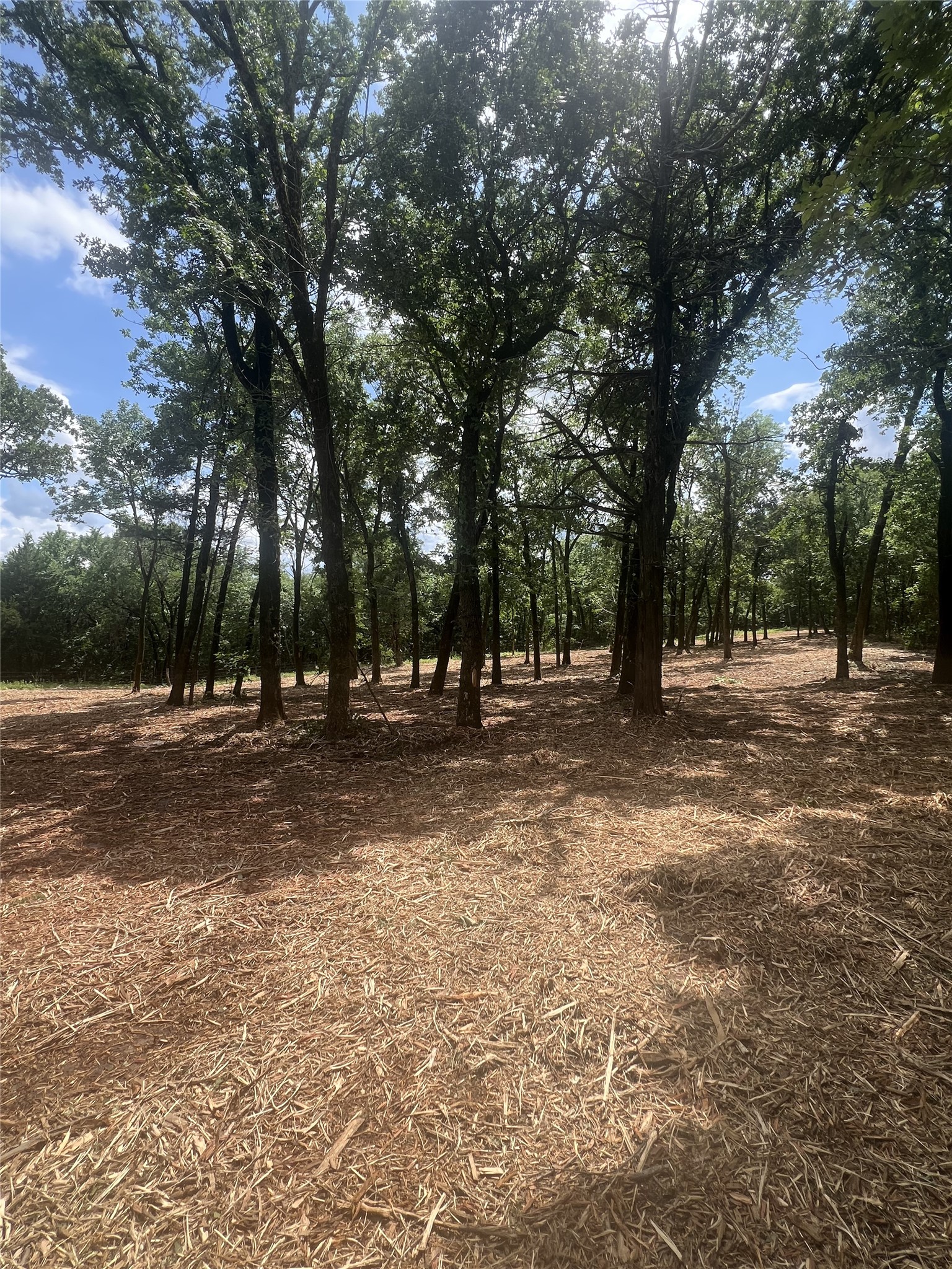 0 County Road 2980 Windom TX 75492