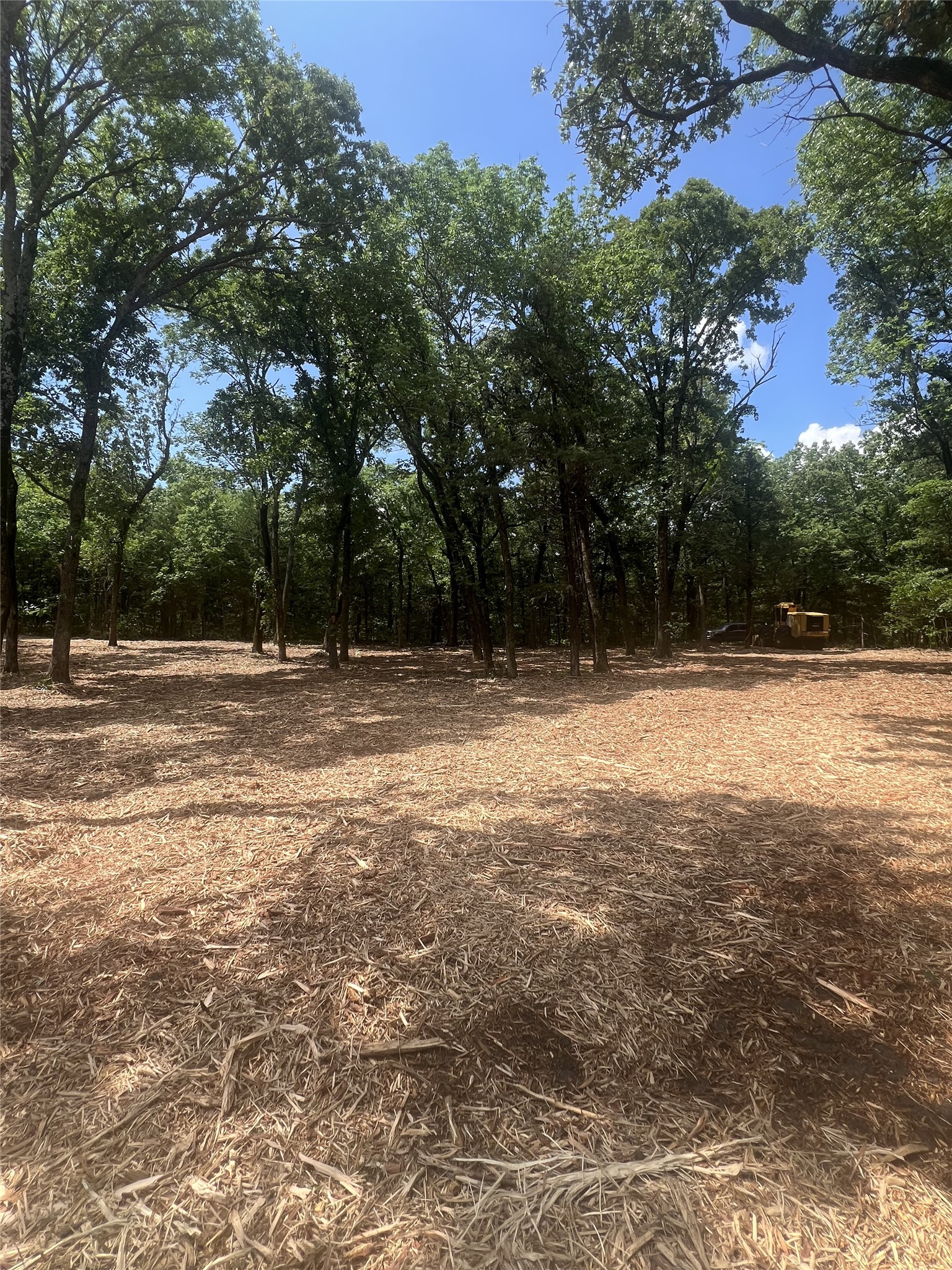 0 County Road 2980 Windom TX 75492