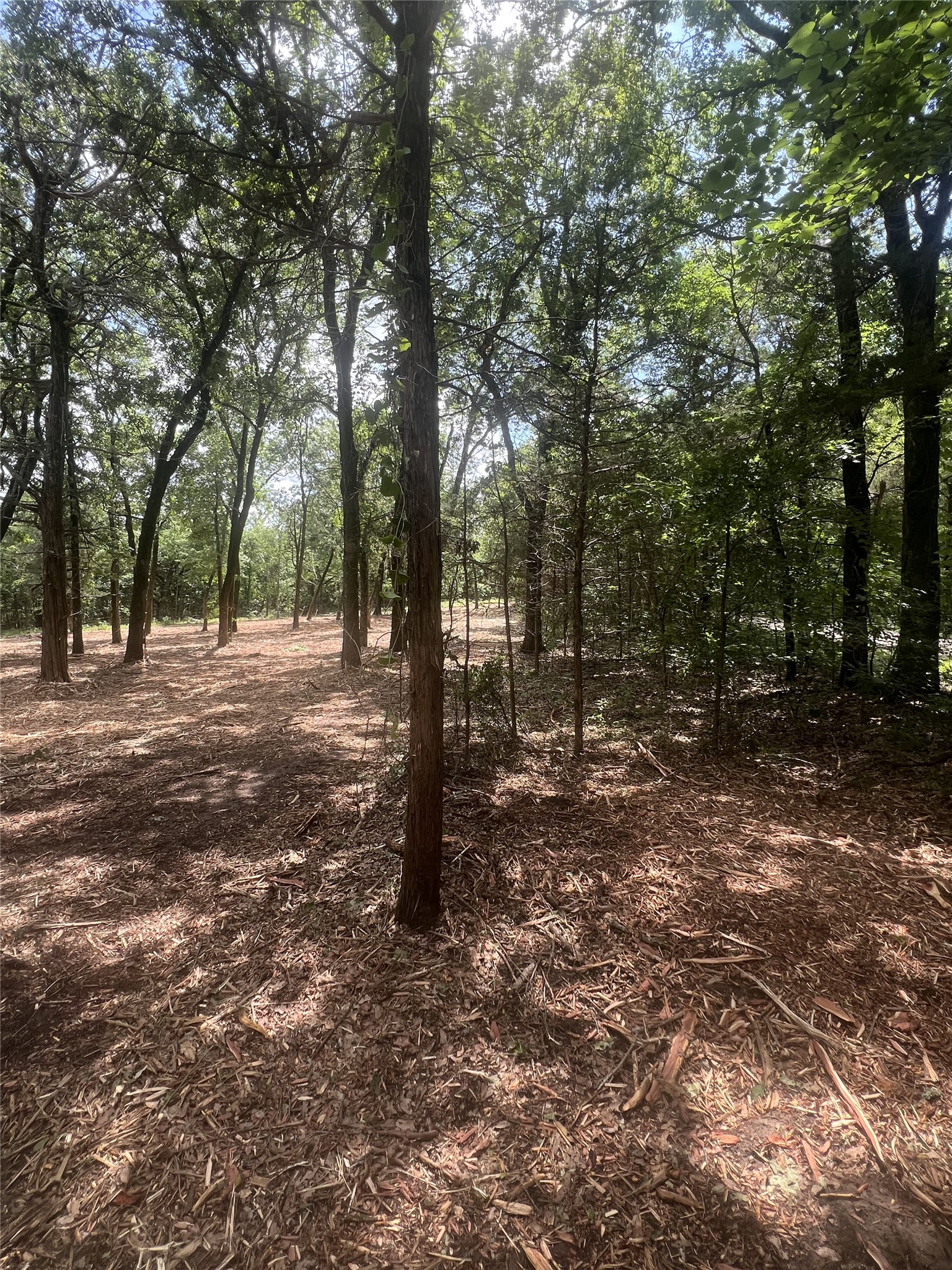 0 County Road 2980 Windom TX 75492