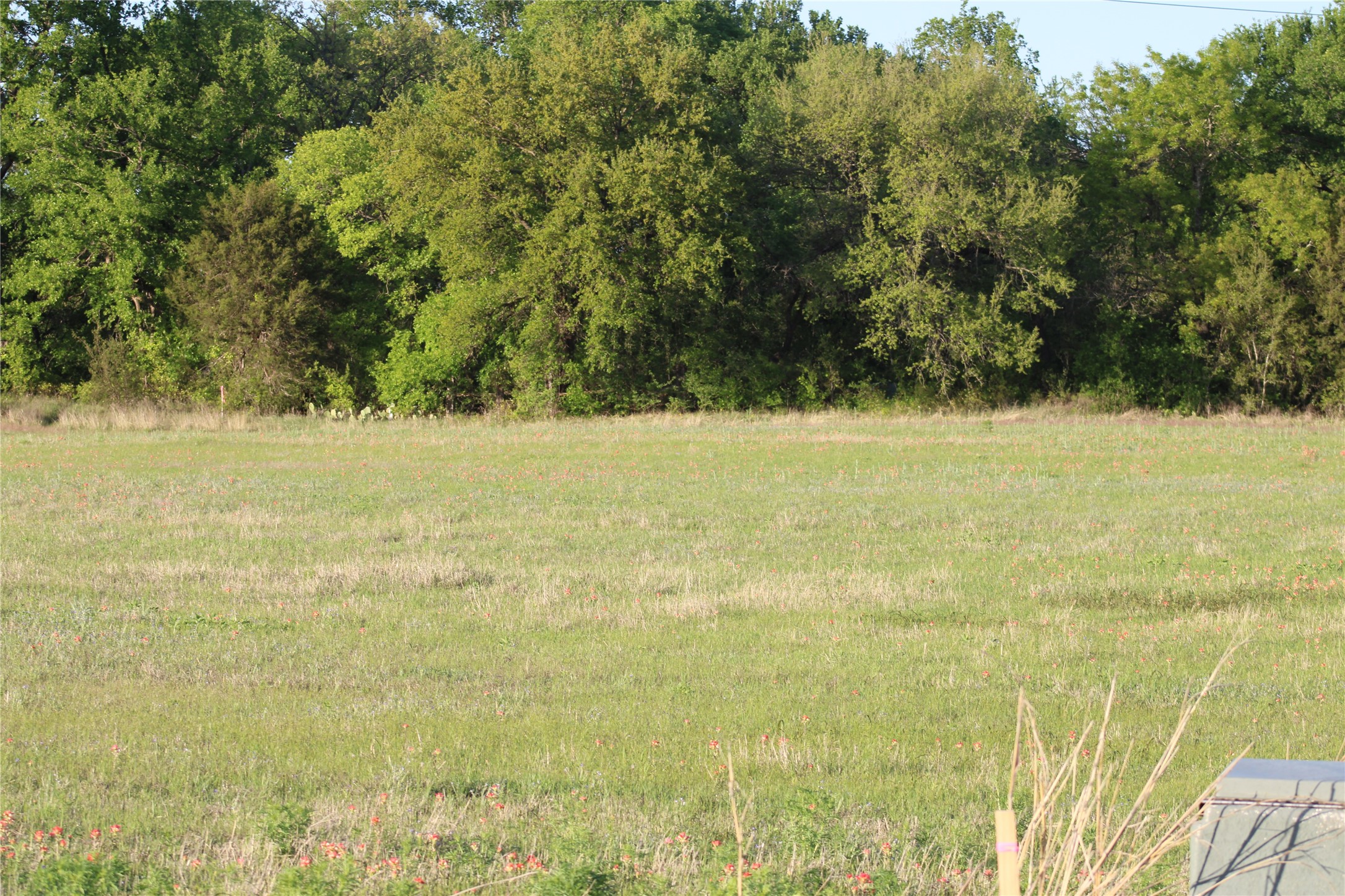 Tbd Waters Edge Lane Glen Rose TX 76043