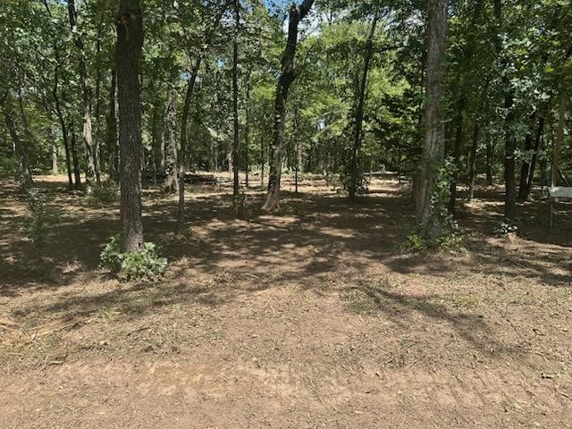 132 Pr 44053 Powderly TX 75473