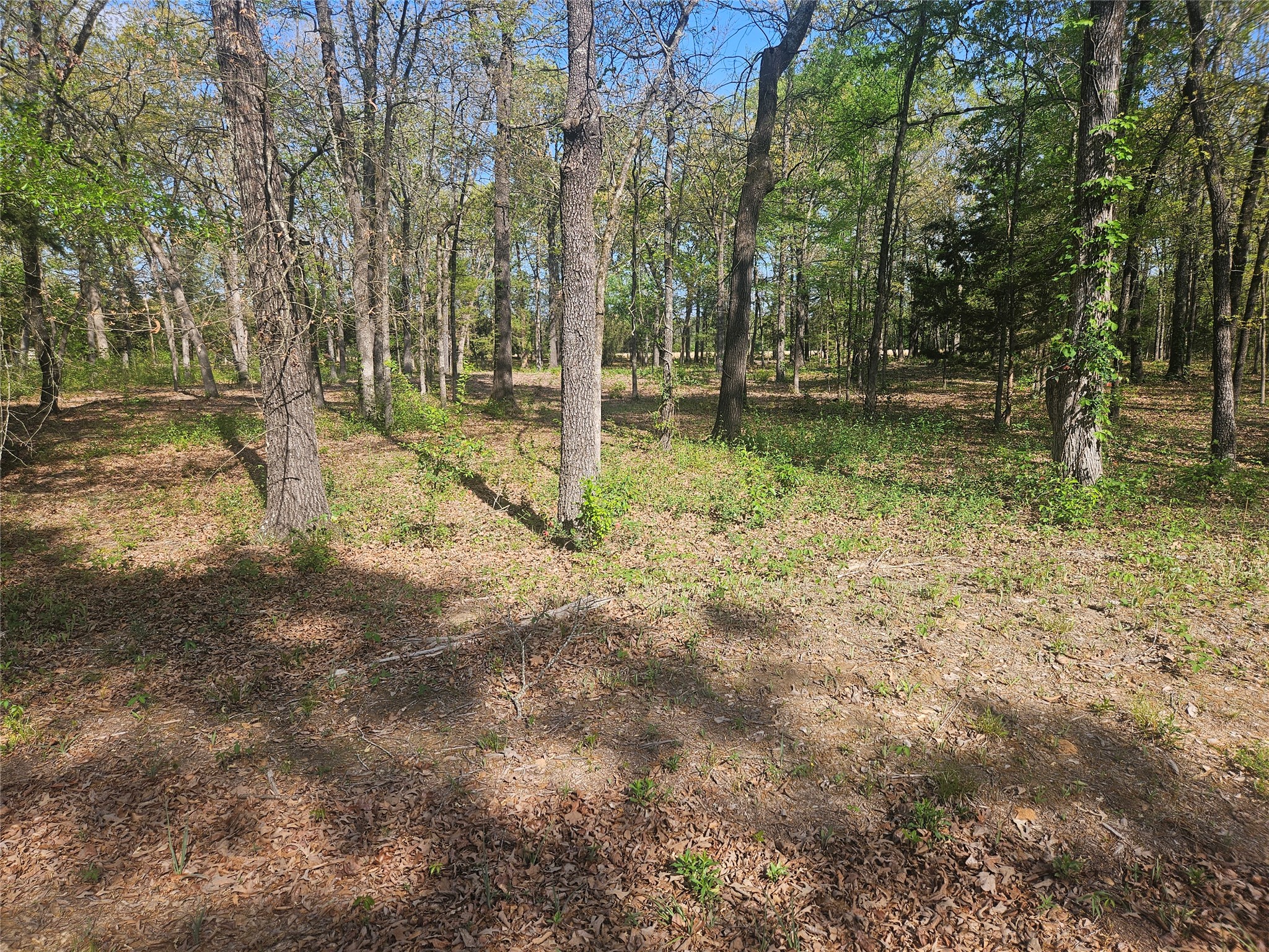 132 Pr 44053 Powderly TX 75473