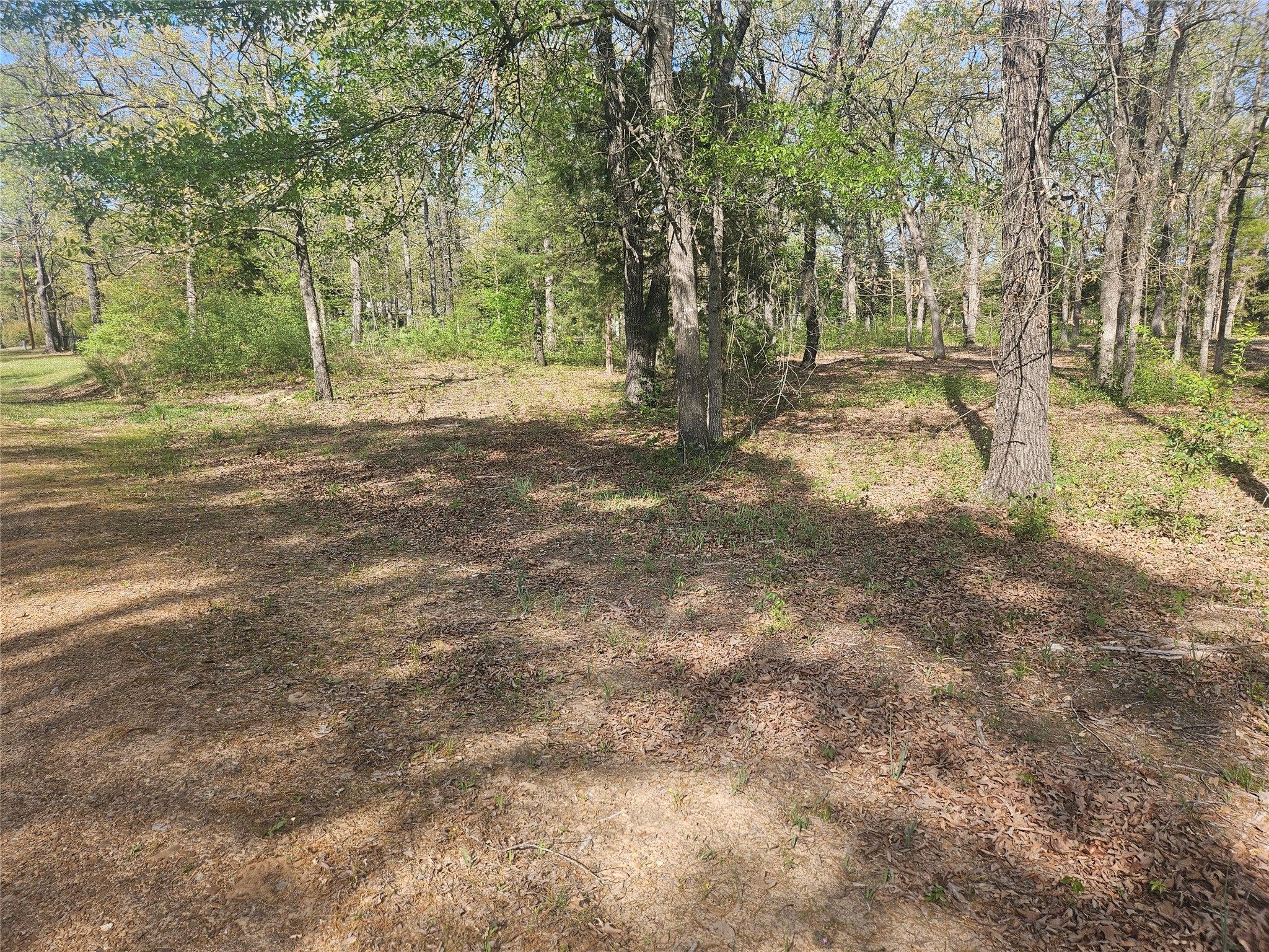 132 Pr 44053 Powderly TX 75473