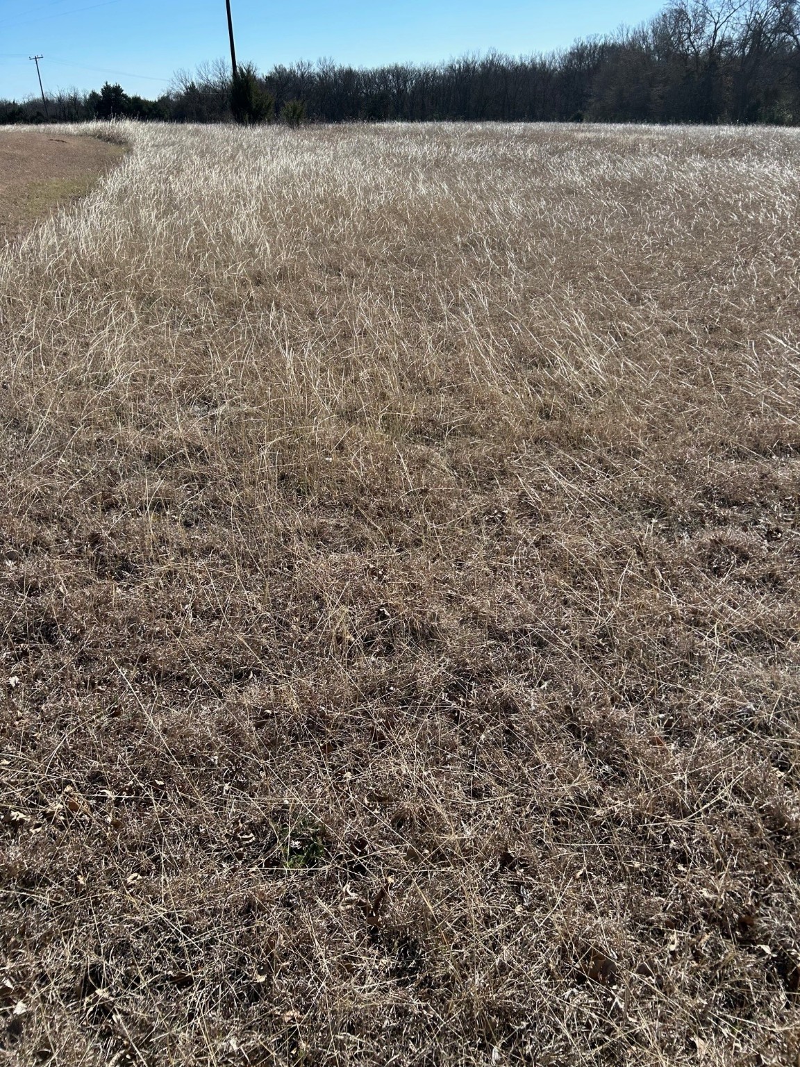 Tbd Flanary Sherman TX 75092