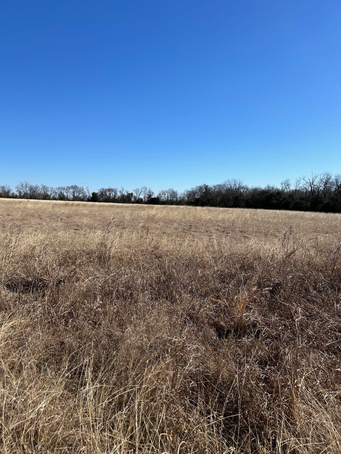Tbd Flanary Sherman TX 75092