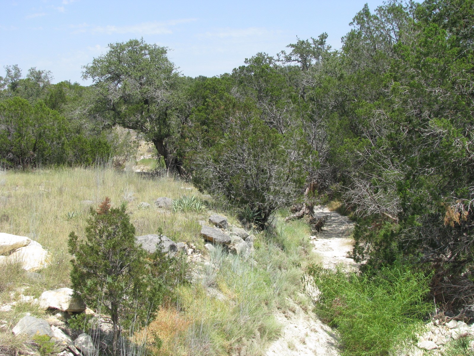 Lot 11 Ph 5 Private Road Evant TX 76525