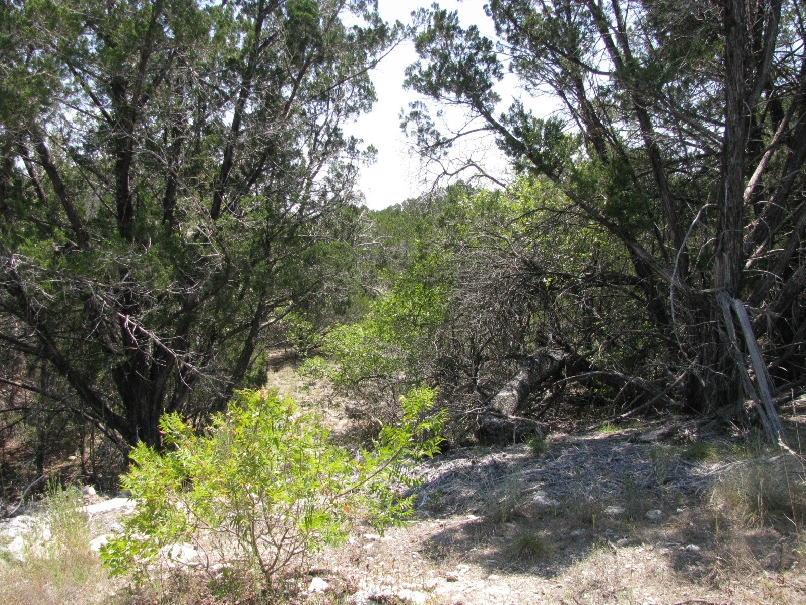 Lot 11 Ph 5 Private Road Evant TX 76525