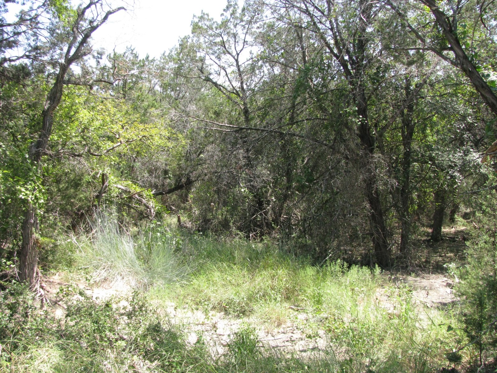 Lot 11 Ph 5 Private Road Evant TX 76525