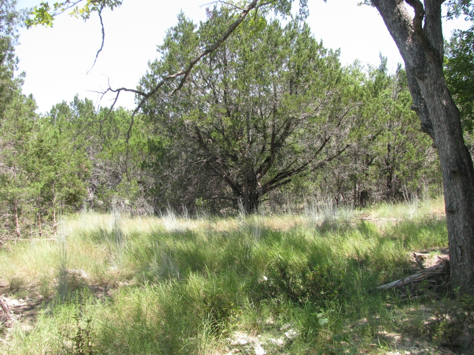 Lot 11 Ph 5 Private Road Evant TX 76525