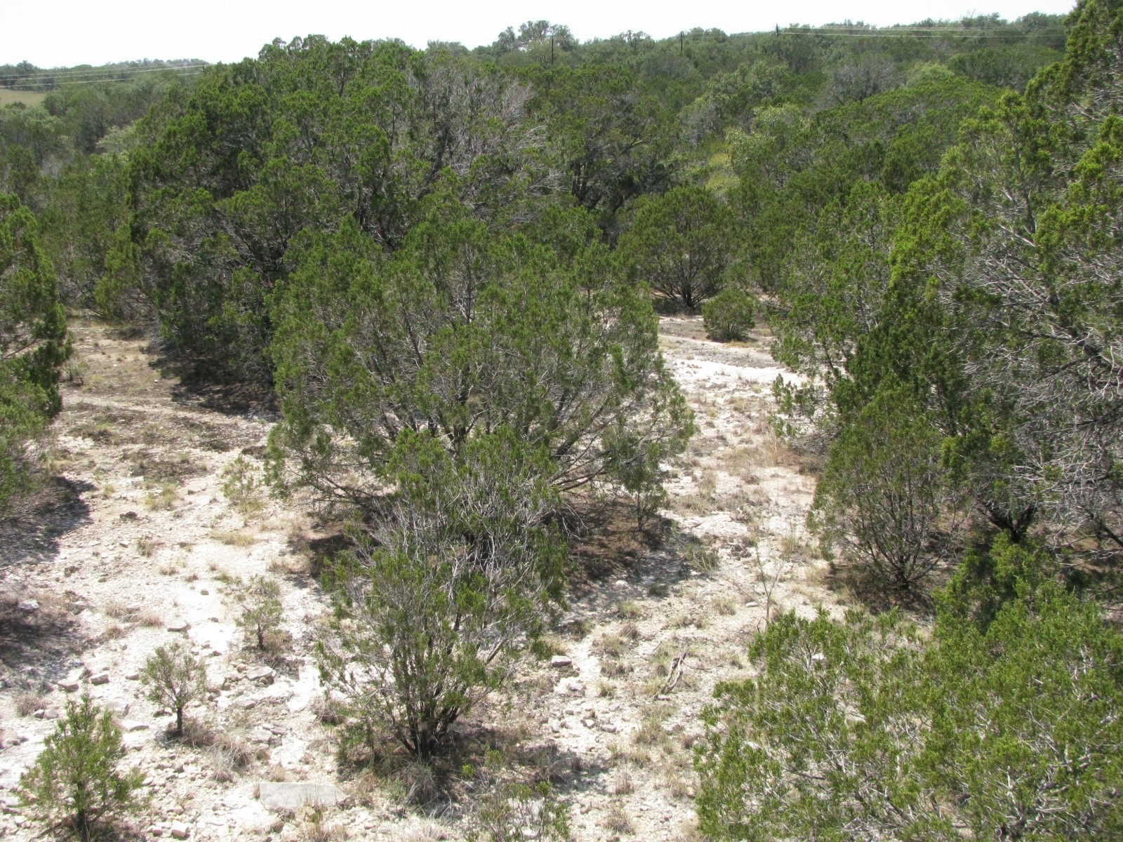 Lot 11 Ph 5 Private Road Evant TX 76525