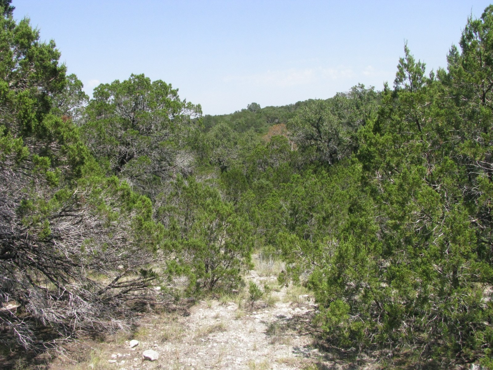 Lot 11 Ph 5 Private Road Evant TX 76525
